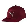 Puma Evoknit Pro Golf Cap 1 Puma Evoknit Pro Golf Cap -Golf Clothing Sales Store Puma EvoKnit Pro Golf Cap quarry 021633 02 1